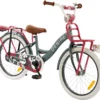 2Cycle Desire Kinderfiets - 20 Inch - Voordrager -Grijs-Roze - Meisjesfiets
