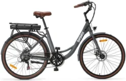 Elektrische Stadsfiets 26 '' (F264) - Stalen Frame - 6 Versnellingen Shimano - Schijfremmen - 10 Ah - Grijs