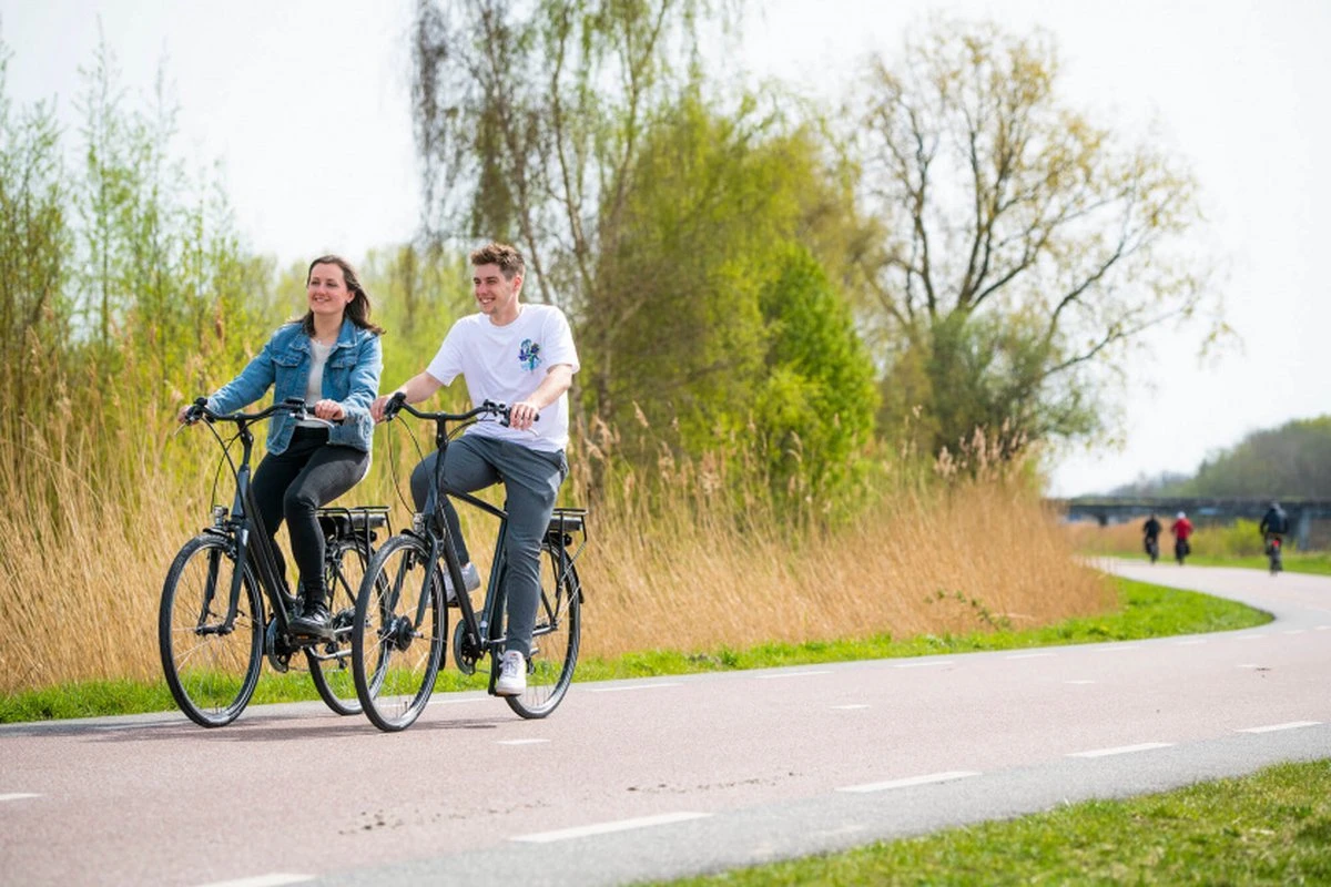 Amigo E-Vibe D1 - Elektrische Stadsfiets Voor Heren - Met 7 Versnellingen - Matgrijs - Afbeelding 4