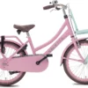 Valetta Cargo - Transportfiets - Meisjesfiets - 20 Inch - Mint Roze